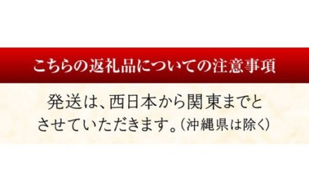 【期間限定・数量限定】担当者厳選！伊勢海老(小)計1000g（5～9尾）【魚介類 えび 伊勢えび イセエビ 日向灘】