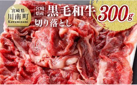 宮崎県産黒毛和牛 牛肉切り落とし ３００ｇ【肉 牛 牛肉 黒毛和牛 国産 牛肉 九州産 牛肉 宮崎県産 牛肉 切落し 牛肉 牛丼 牛肉 炒め物 牛肉 肉牛 牛丼 炒めもの 送料無料 牛肉 牛】