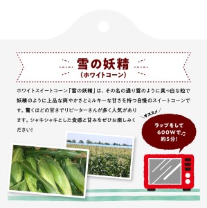 【令和7年発送】宮崎県産とうもろこし　大山さんちのホワイトコーン「雪の妖精」4.5kg 【 先行予約 数量限定 期間限定 2025年発送 先行受付 宮崎県産 九州産 】