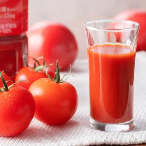 【9ヶ月定期便】PET理想のトマト740ｇ×15本 【 飲料 野菜飲料 野菜ジュース 野菜汁 ソフトドリンク トマトジュース全９回 健康 ヘルシー 】