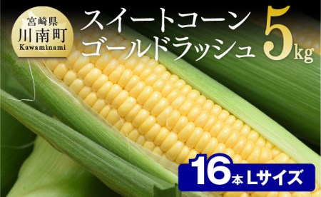 【令和7年発送】朝どれ！守部さんちのゴールドラッシュ (L)5kg)【 先行予約 数量限定 期間限定 とうもろこし スイートコーン トウモロコシ スィートコーン 令和7年発送 】