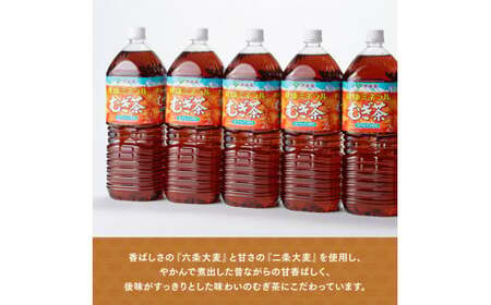 【定期便】伊藤園 健康ミネラル むぎ茶 2L×6本×2ケース PET 9ケ月定期便【お茶 麦茶 ムギ茶 飲料  水分補給 ソフトドリンク 長期保存お茶 備蓄お茶 ペットボトル カフェインゼロ カロリーゼロ 全9回お茶】