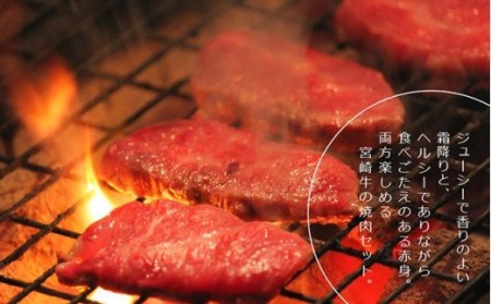 宮崎牛 霜降りと赤身焼肉セット 900g 【肉 牛肉 国産 黒毛和牛 宮崎牛 肉質等級4等級以上の牛肉 焼肉】