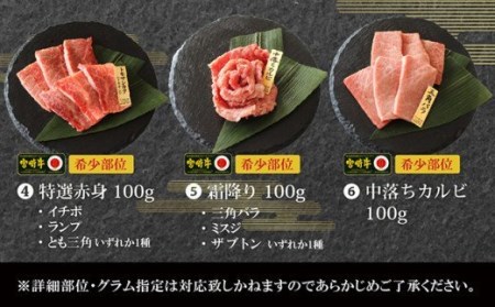 【特選】宮崎牛6種盛 焼肉食べ比べセット【肉 牛肉 国産 黒毛和牛 宮崎牛 肉質等級4等級以上の牛肉 焼肉セット】