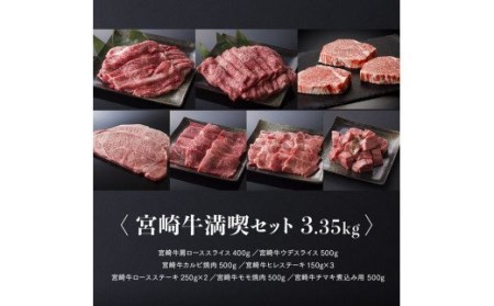 令和6年2月より順次発送※豪華！宮崎牛 満喫セット 3.3kg以上【肉 牛肉