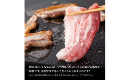 宮崎県産豚肉 バラ焼肉 1.5kg - 国産豚肉 宮崎県産豚肉 肉 豚肉 豚バラ 豚肉
