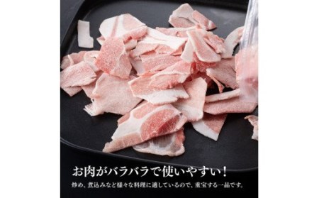 宮崎県産 豚肉小間切れ 3.2kg【 国産豚肉 宮崎県産豚肉 肉 豚肉 ぶた 小分 豚肉小分け 】