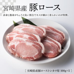 宮崎県産豚肉３種詰め合わせセット1.4kg【肉 豚 豚肉 国産 豚肉 九州産 豚肉 宮崎県産 豚肉 ロース ヒレ フィレ 豚ヒレ 豚肉ステーキ トンカツ 豚しゃぶ  豚肉セット 豚肉セット 豚肉3種 豚肉盛合わせ 送料無料 豚肉】