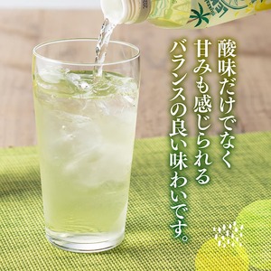 【ふるなびWEEK対象】サンA宮崎育ちのレモネード500mlＰＥＴ　24本入り 【 FN-Limited-PR 飲料 栄養機能食品 レモン 檸檬 マルチビタミン配合 PET セット ジュース 長期保存 備蓄 送料無料 】