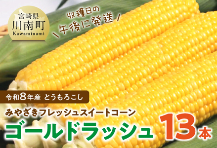 【令和8年発送】宮崎県産とうもろこしみやざきフレッシュスイートコーン「ゴールドラッシュ」13本 スイートコーン