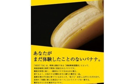 国産バナナNEXT716 「12本」　レギュラーサイズ【国産 バナナ 無農薬 フルーツ 果物 デザート 朝食 スムージー バナナ】