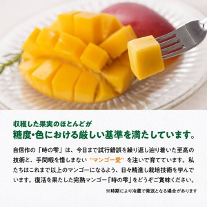 【令和8年発送】宮崎県産 完熟マンゴー「時の雫」 4L×1玉 【 期間限定 数量限定 先行予約 果物 フルーツ マンゴー 宮崎県産 九州産 完熟マンゴー みやざきマンゴー 】