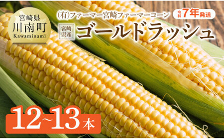 【令和7年発送】宮崎県産とうもろこし　ファーマー宮崎 ファーマーコーン「ゴールドラッシュ」12～13本【 先行予約 数量限定 期間限定 とうもろこし 2025年発送 トウモロコシ スイートコーン 期間限定 先行受付 】