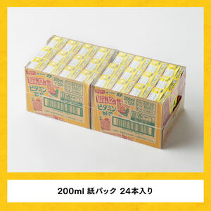 【3ヶ月定期便】栄養機能食品ビタミン野菜（紙パック）200ml×24本 【飲料類 野菜ジュース ミックスジュース 健康 飲みもの】