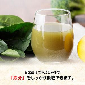 【6ヶ月定期便】充実野菜緑の野菜ミックス200ml×24本 【 全6回 伊藤園 飲料類 野菜ジュース 野菜 ジュース ミックスジュース 飲みもの 】