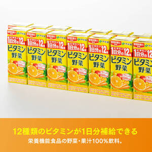 伊藤園 ビタミン野菜（紙パック）200ml×48本【6ヶ月定期便】 【 全6回 伊藤園 飲料類 野菜ジュース ミックスジュース 健康 飲みもの】