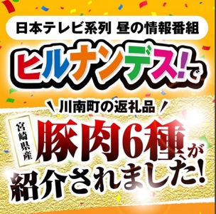 ヒルナンデスで紹介！【令和7年2月発送】宮崎県産豚肉6種4.1kg  【 肉 豚肉 国産豚肉 九州産豚肉 宮崎県産豚肉 豚肉 大容量 豚肉 しゃぶしゃぶ スライス 豚肉 】