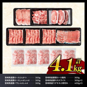 ヒルナンデスで紹介！【令和7年2月発送】宮崎県産豚肉6種4.1kg  【 肉 豚肉 国産豚肉 九州産豚肉 宮崎県産豚肉 豚肉 大容量 豚肉 しゃぶしゃぶ スライス 豚肉 】