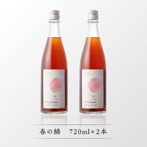 【数量限定】天龍梅の実を使用！オリジナル梅酒「春の鱗」（720ml×2本）