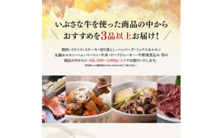 いぶさな牛 選りすぐり 詰め合わせセット 【 肉 国産牛肉 精肉 いぶさな牛 国産 九州産 宮崎県産 牛肉 】