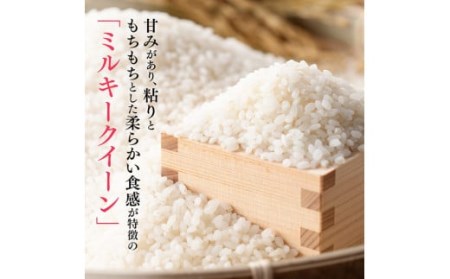 【令和６年産】村井農園産ミルキークイーン（精米）2kg 【 米 お米 白米 精米 ミルキークイーン 国産 宮崎県産 おにぎり 】