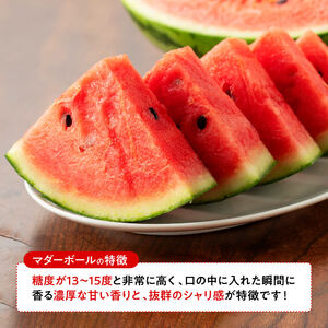【令和8年産】宮崎県産　小玉スイカ（マダーボール）2玉 【 数量限定 国産 宮崎県産 西瓜 フルーツ 果物 すいか】