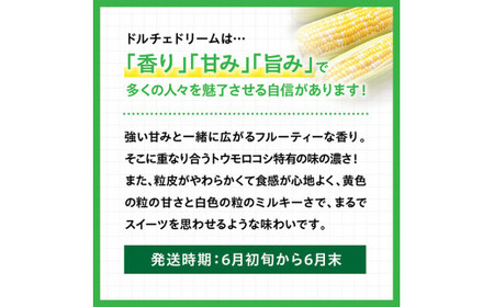 【令和6年産】宮崎県産スイートコーン「長友農園産ドルチェドリーム」5kg【 とうもろこし コーン とうきび 野菜 】