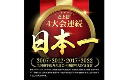 宮崎牛 厚切り ロースステーキ 300g【 肉 国産牛肉 牛 A4～A5等級 宮崎牛 牛 ステーキ 焼肉 牛 BBQ イベント 記念日 日本ハム 牛  牛肉 牛 】