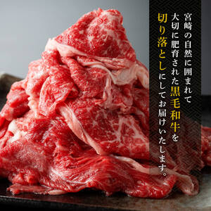 宮崎県産 黒毛和牛 切り落とし 600g【 肉 牛肉 牛 宮崎牛 牛 炒め物 牛 2パック 日本ハム 牛 】