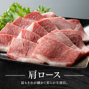 宮崎牛 赤身 霜降り 焼肉 2種 400g【肉 牛肉 牛 国産 宮崎県産 黒毛和牛 牛 和牛 焼肉 牛 やきにく BBQ 4等級  A4ランク うで 肩ロース ロース  E11105】