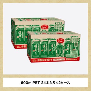 【3ヶ月定期便】お~いお茶 濃い茶600ml×48本 PET 【 伊藤園 飲料類 飲みもの 緑茶 お茶 カテキン ペットボトル PET 備蓄 長期保存 送料無料 】