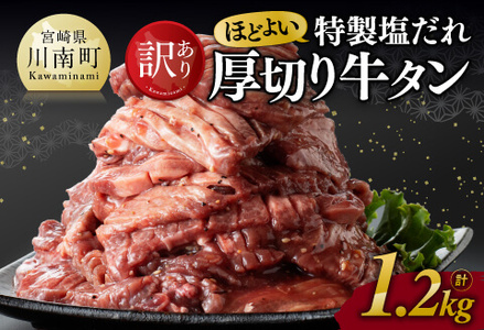 【訳あり】特製塩だれ！ほどよい厚切り牛タン1.2kg 【 肉 牛 牛肉  ﾜｹｱﾘ 牛肉 焼くだけ 牛ﾀﾝ 牛肉 肉 牛たん 牛肉ﾀﾝ 味付き 牛ﾀﾝ 牛肉 小分け 牛肉 厚切り 味付け 牛肉 お手軽 牛肉 簡単調理 牛肉 1kgオーバー 牛肉 大容量 牛肉 送料無料 牛肉 牛肉 】