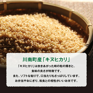 【令和5年産】 黒木農園産お米「キヌヒカリ(玄米)」 5kg【 米 お米 玄米 国産 宮崎県産 きぬひかり おにぎり 】