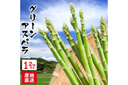Aaa40 ★グリーンアスパラ(計1.2kg以上)都農町産★
