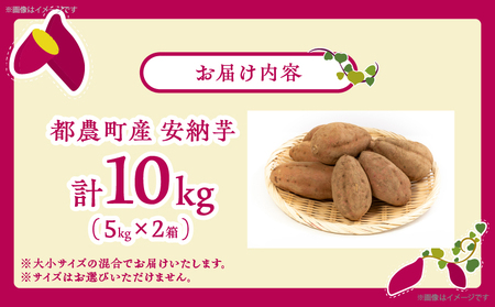 ≪期間限定≫都農町産安納芋(計10kg) 野菜 芋 イモ 国産_T016-002【さつま芋 さつまいも 焼き芋 さつまいも 蜜芋 さつまいも スイートポテト さつまいも 甘い さつまいも スイーツ さつまいも 産地直送 さつまいも 都農町 さつまいも 宮崎県産】