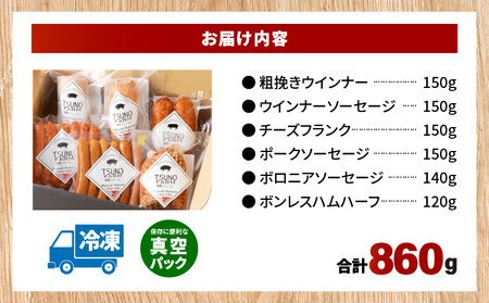 都農ファーム厳選「ウインナー・ハム6点セット」合計860g 肉 豚 豚肉 おかず 国産_T020-001【農の都BBQ特集】