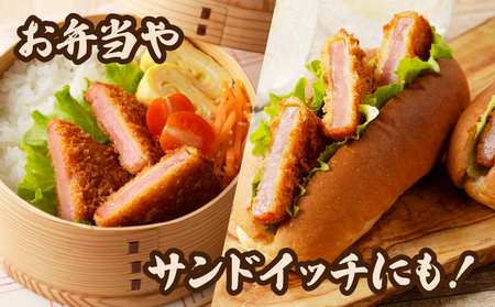 ハムカツ(計20枚) 豚 豚肉 加工品 国産_T006-0031
