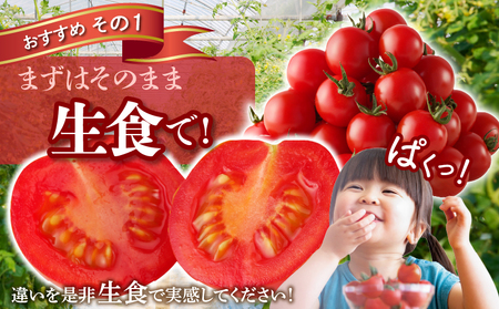 生産者応援!!【期間・数量限定特別規格】高糖度ミニトマト『ニーゴ25。』(計2kg) ミニトマト 野菜 サラダ 国産_T040-0021-ZO