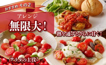 生産者応援!!【期間・数量限定特別規格】高糖度ミニトマト『ニーゴ25。』(計2kg) ミニトマト 野菜 サラダ 国産_T040-0021-ZO