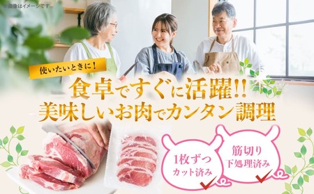 ≪宮崎ブランドポーク≫ロース(トンテキ・とんかつ用)計2kg 肉 豚 豚肉 国産_T023-0131