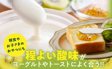 TSUNO JAMゴールドキウイ(計3個) 加工食品 フルーツ 果物 国産_T043-005