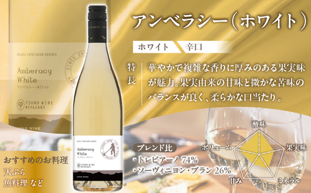 【数量限定】アンベラシー飲み比べ３本セット(レッド・ロゼ・ホワイト) 酒 飲料 アルコール 国産_T014-009