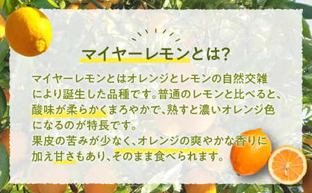 先行予約≪期間限定≫都農町産さくらレモン(マイヤーレモン)計2kg フルーツ 果物 柑橘 レモン 国産_T002-003