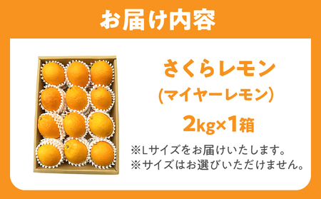 先行予約≪期間限定≫都農町産さくらレモン(マイヤーレモン)計2kg フルーツ 果物 柑橘 レモン 国産_T002-003