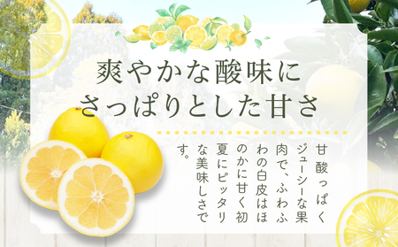 都農町産「訳あり日向夏(約5kg)」 フルーツ 果物 柑橘 国産_T008-0045