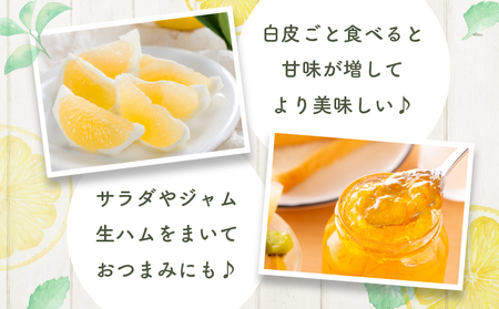 都農町産「訳あり日向夏(約5kg)」 フルーツ 果物 柑橘 国産_T008-0045