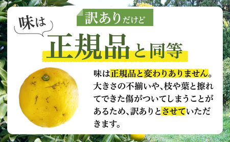 都農町産「訳あり日向夏(約5kg)」 フルーツ 果物 柑橘 国産_T008-0045