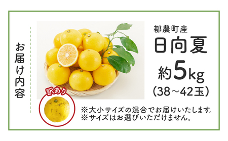都農町産「訳あり日向夏(約5kg)」 フルーツ 果物 柑橘 国産_T008-0045