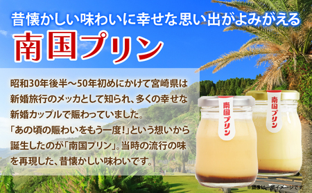 南国プリン「カタセボン(計9個)」 スイーツ 洋菓子 国産_T038-0031