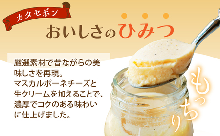 南国プリン「カタセボン(計9個)」 スイーツ 洋菓子 国産_T038-0031